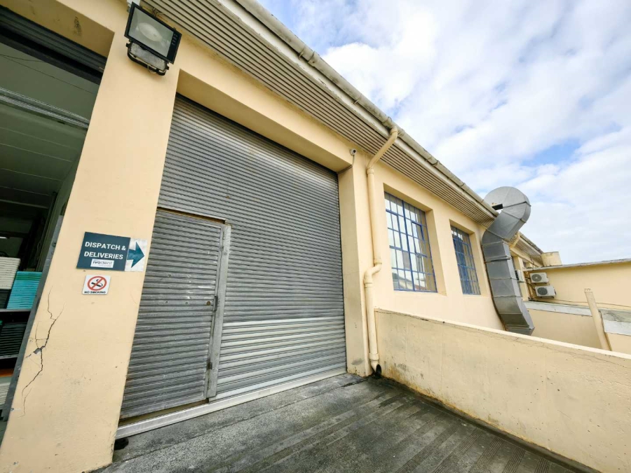 To Let commercial Property for Rent in Observatory Western Cape